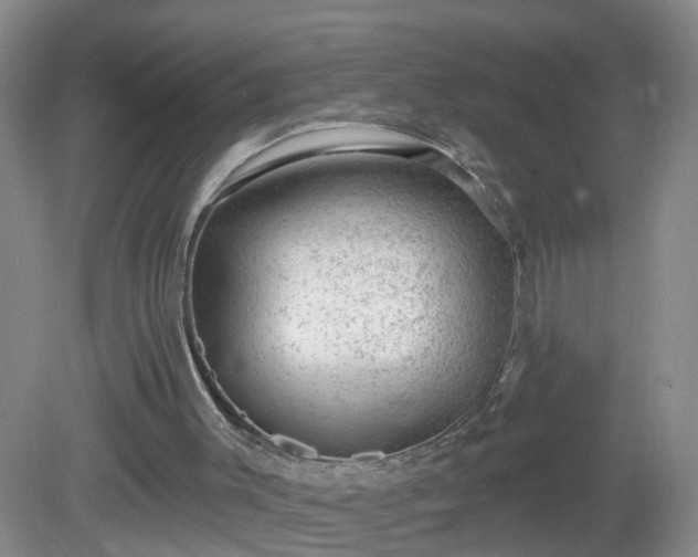 X0000081480003200701191844