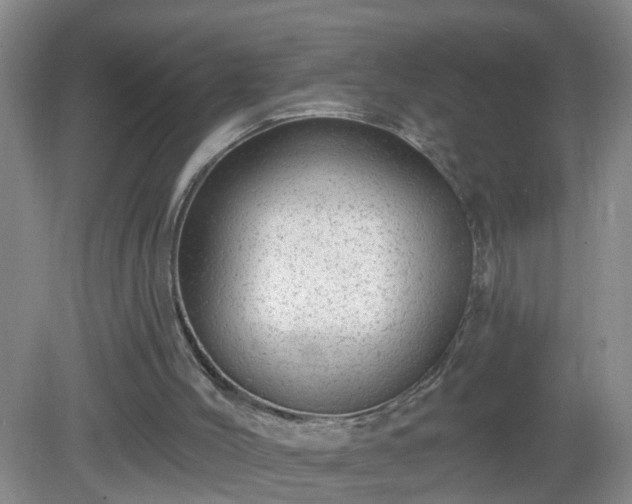 X0000081480004200701191844