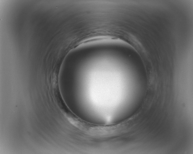 X0000081480025200701191844