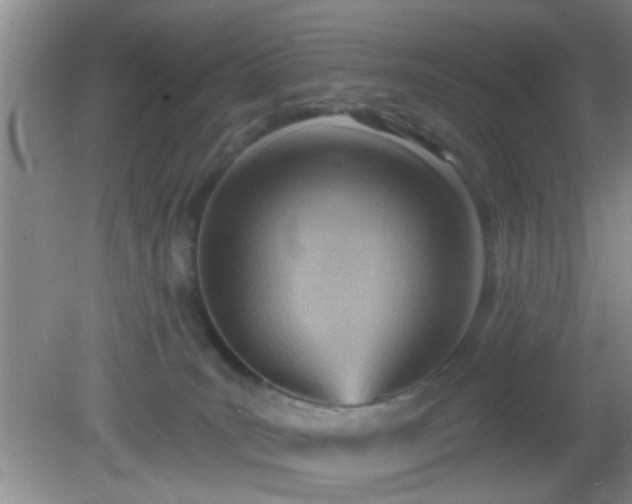X0000081480035200701191844