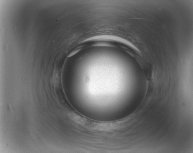 X0000081480037200701191844