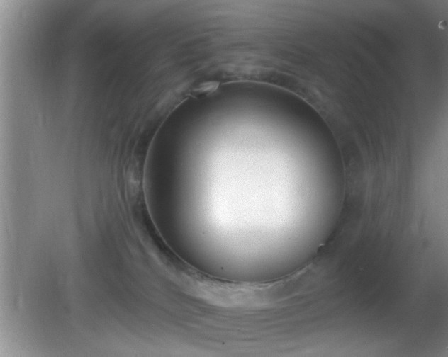 X0000081480040200701191844