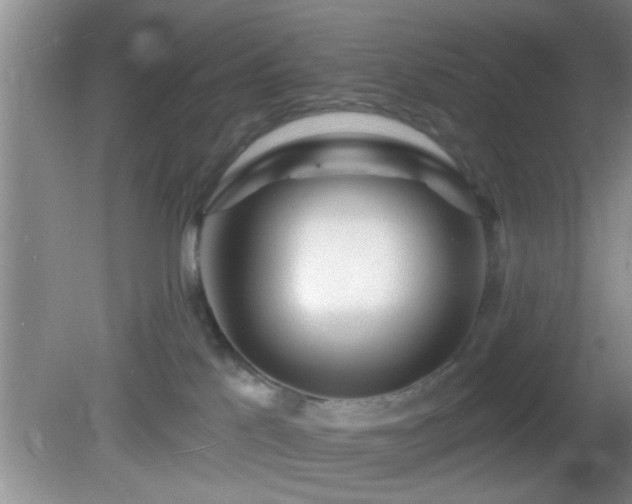 X0000081480041200701191844