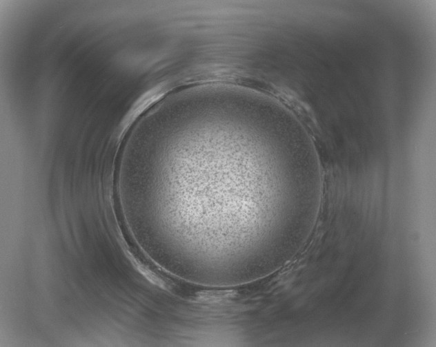 X0000081480051200701191843