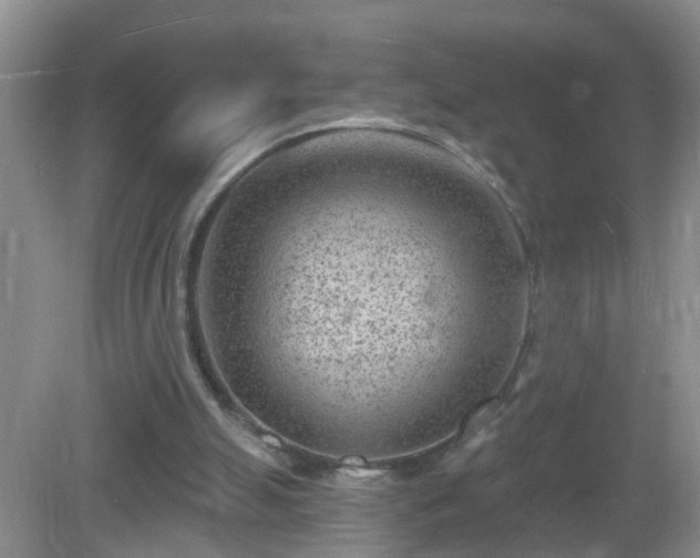 X0000081480055200701191843