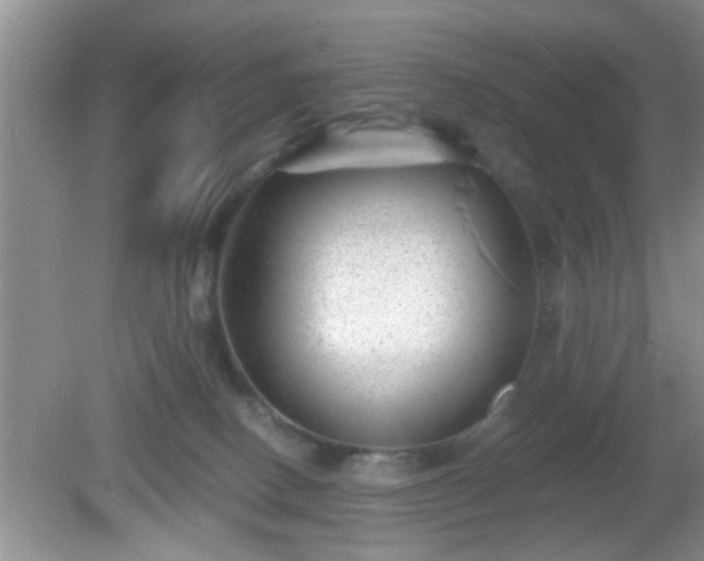 X0000081480082200701191843