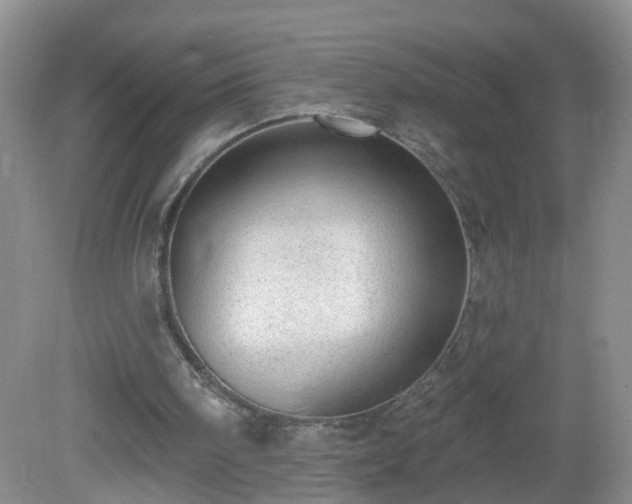X0000081480098200701191843