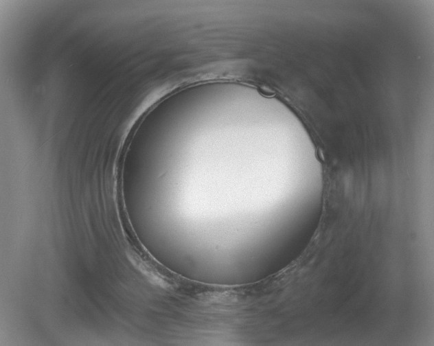 X0000081480100200701191843