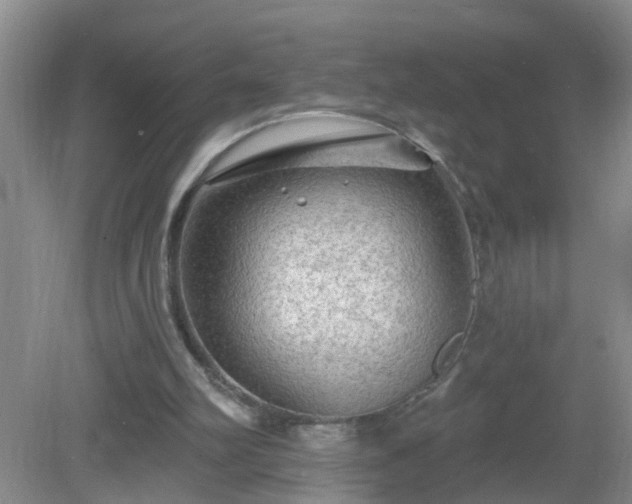 X0000081480102200701191843