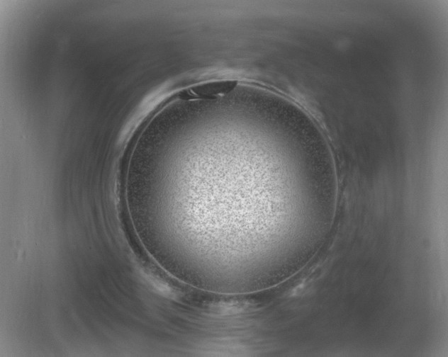 X0000081480103200701191843