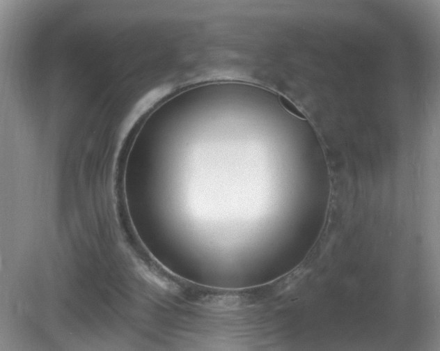 X0000081480104200701191843