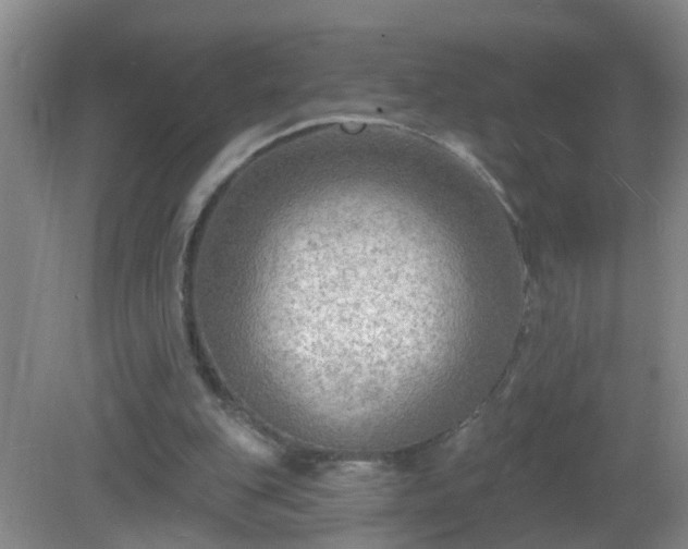 X0000081480151200701191841