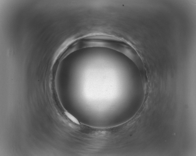 X0000081480152200701191841