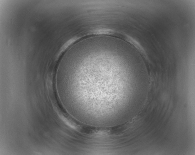 X0000081480155200701191841