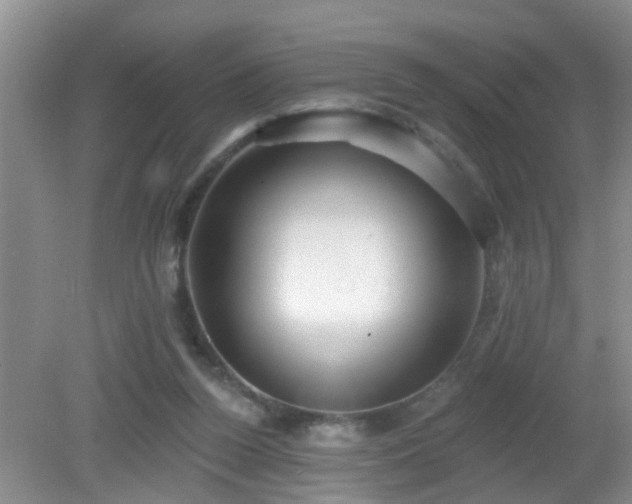 X0000081480160200701191841
