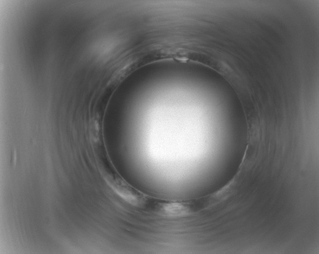 X0000081480183200701191842