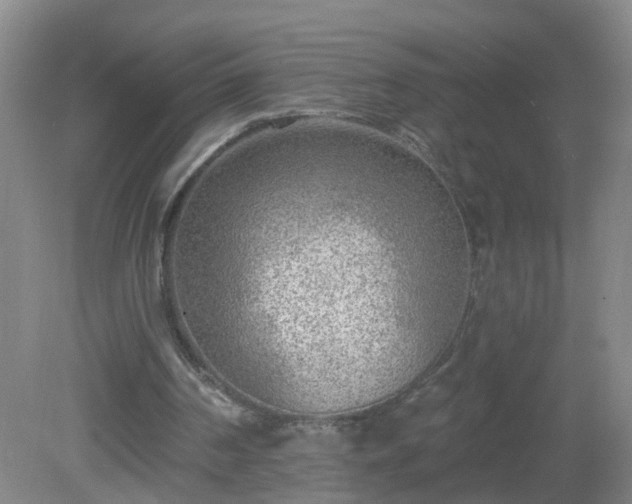 X0000081480194200701191841
