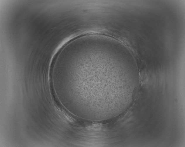 X0000081480196200701191841