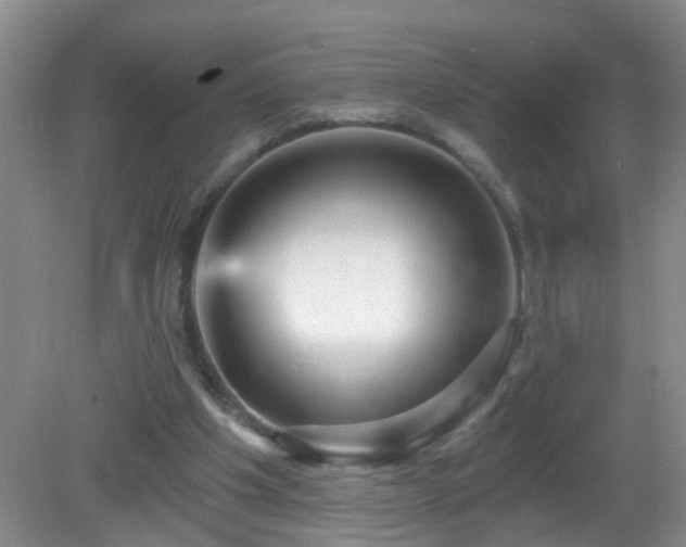 X0000081480201200701191841