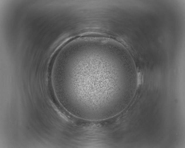 X0000081480243200701191840