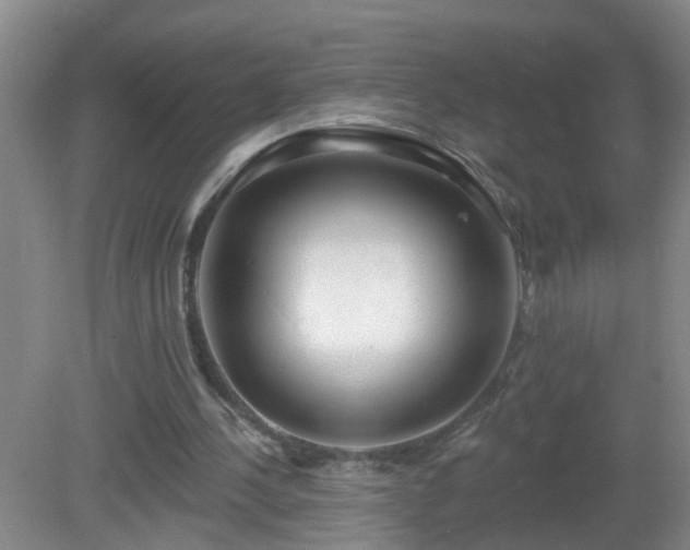 X0000081480244200701191840