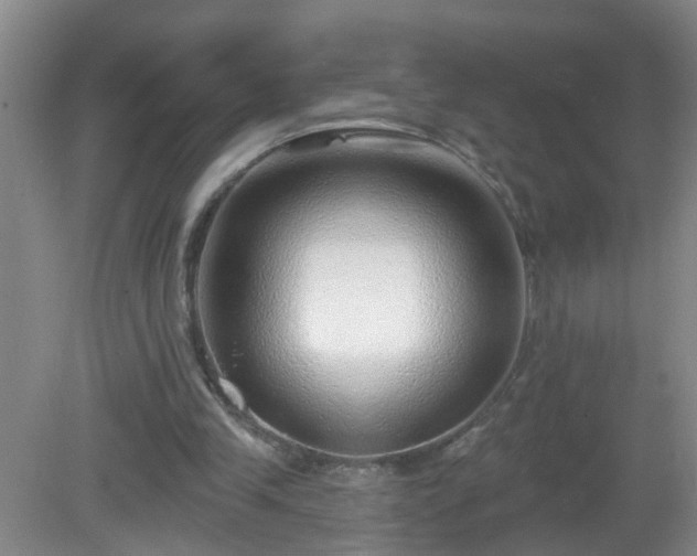 X0000081480245200701191840