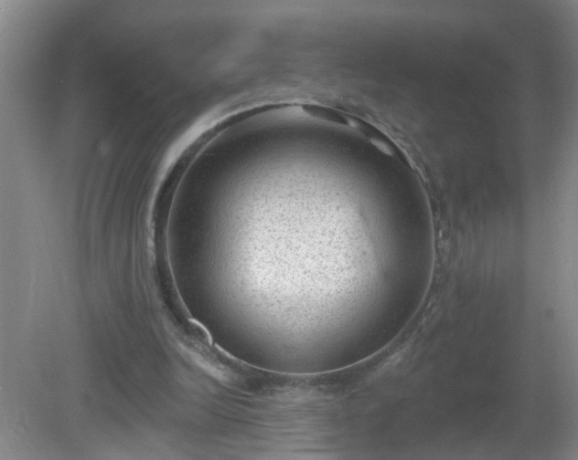 X0000081480246200701191840