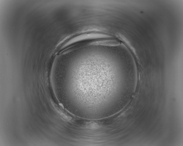 X0000081480249200701191840