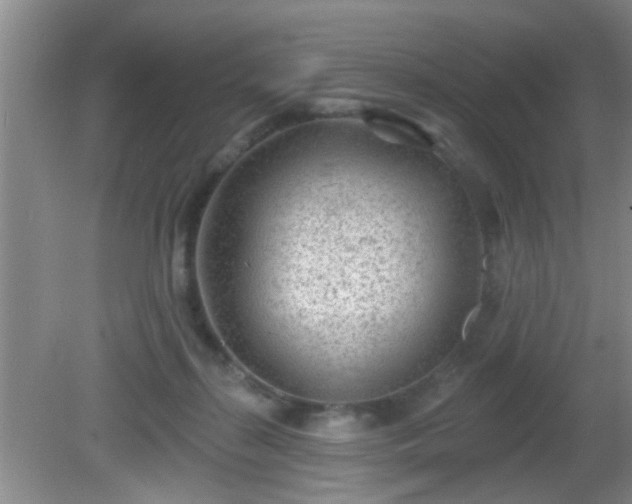 X0000081480267200701191840