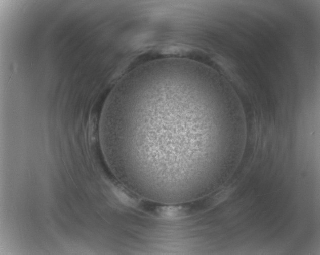 X0000081480273200701191840