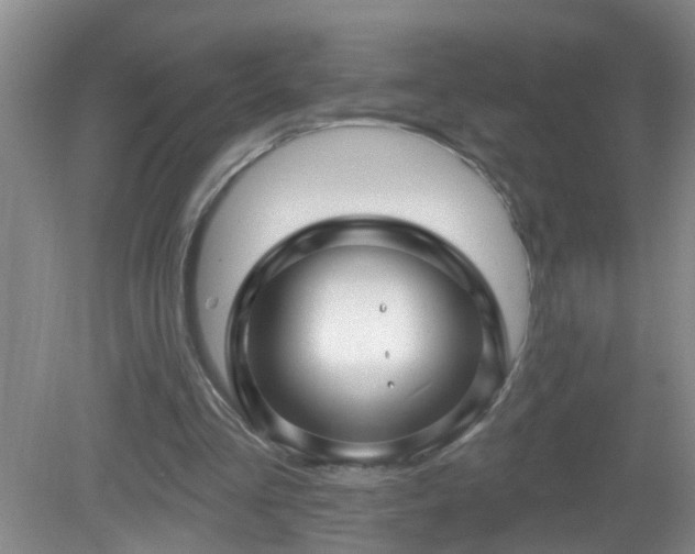 X0000081480293200701191839