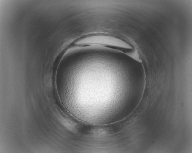 X0000081480299200701191839