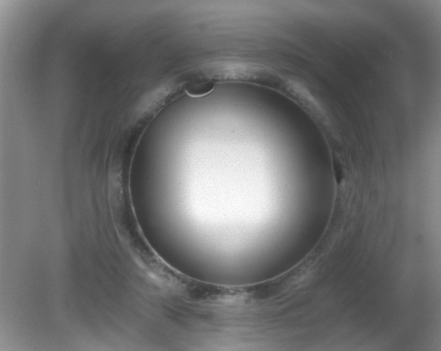 X0000081480306200701191839