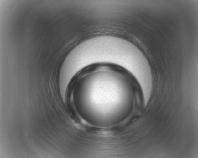 X0000081480313200701191839