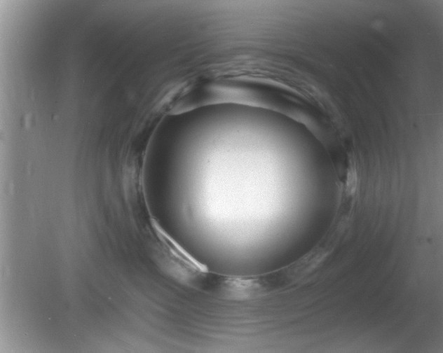 X0000081480333200701191839