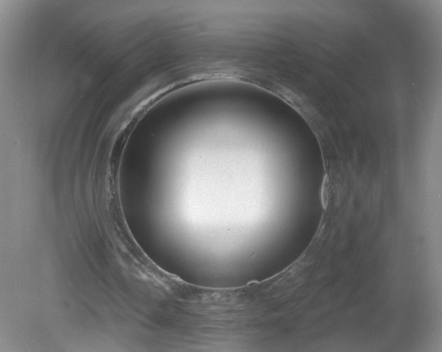 X0000081480338200701191838