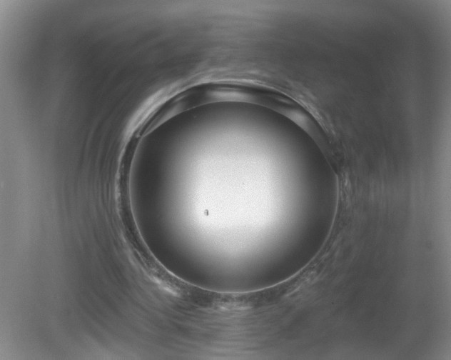 X0000081480340200701191838