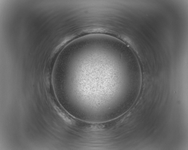 X0000081480345200701191838