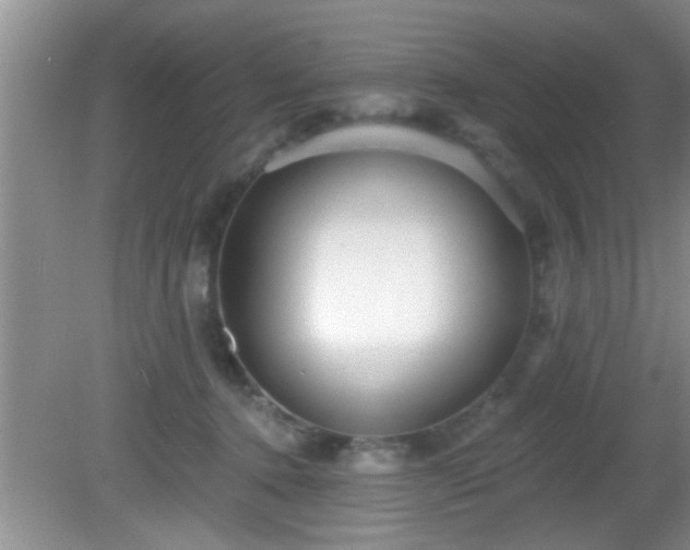 X0000081480368200701191838