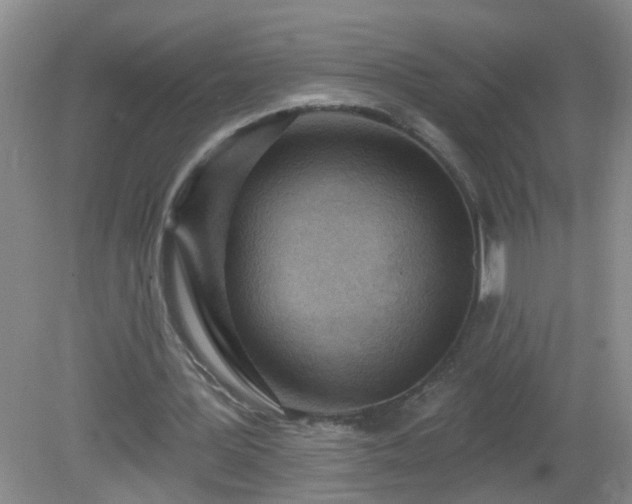 X0000081480387200701191838