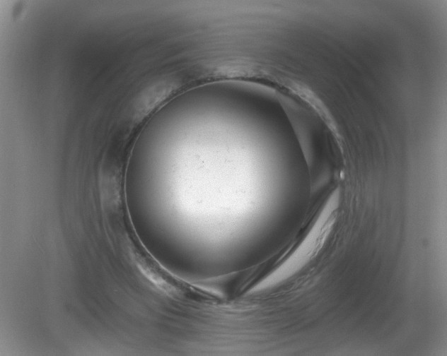 X0000081480393200701191838