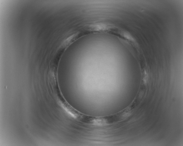 X0000081480415200701191837