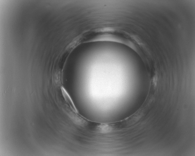 X0000081480425200701191837