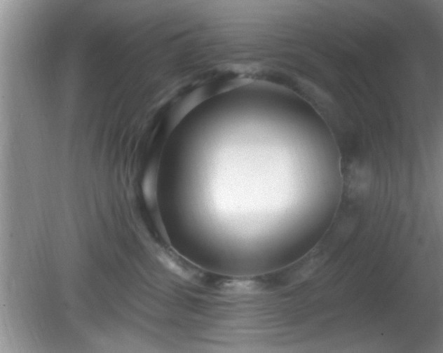 X0000081480428200701191837