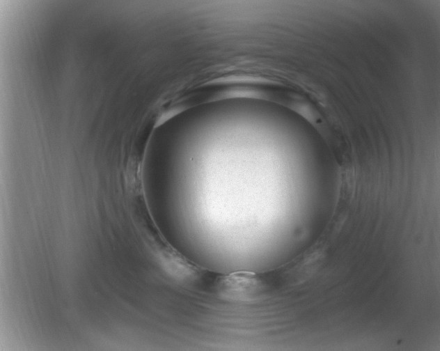 X0000081480429200701191837