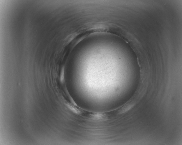 X0000081480432200701191837
