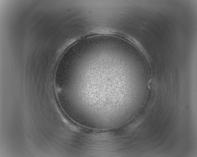 X0000081480433200701191836