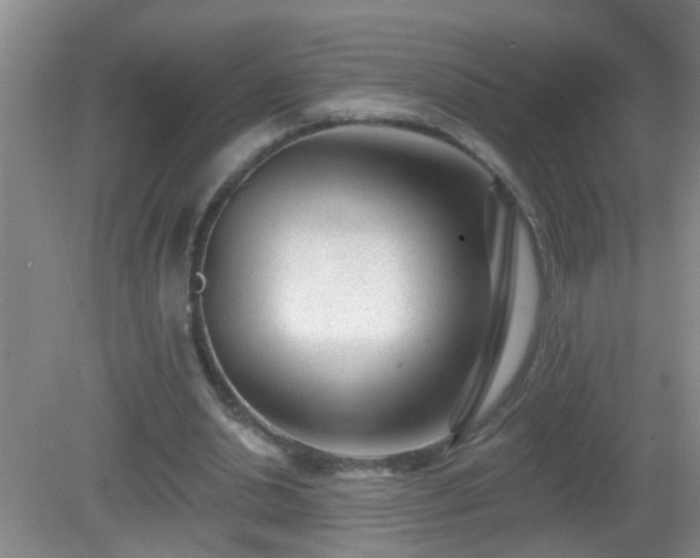 X0000081480438200701191836