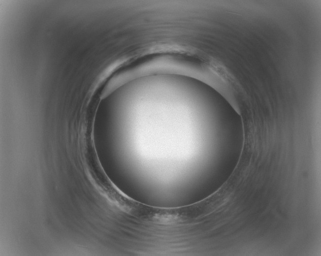 X0000081480440200701191836