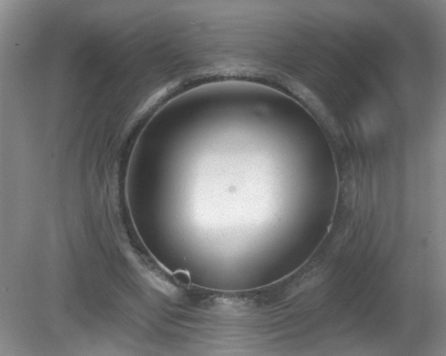 X0000081480442200701191836